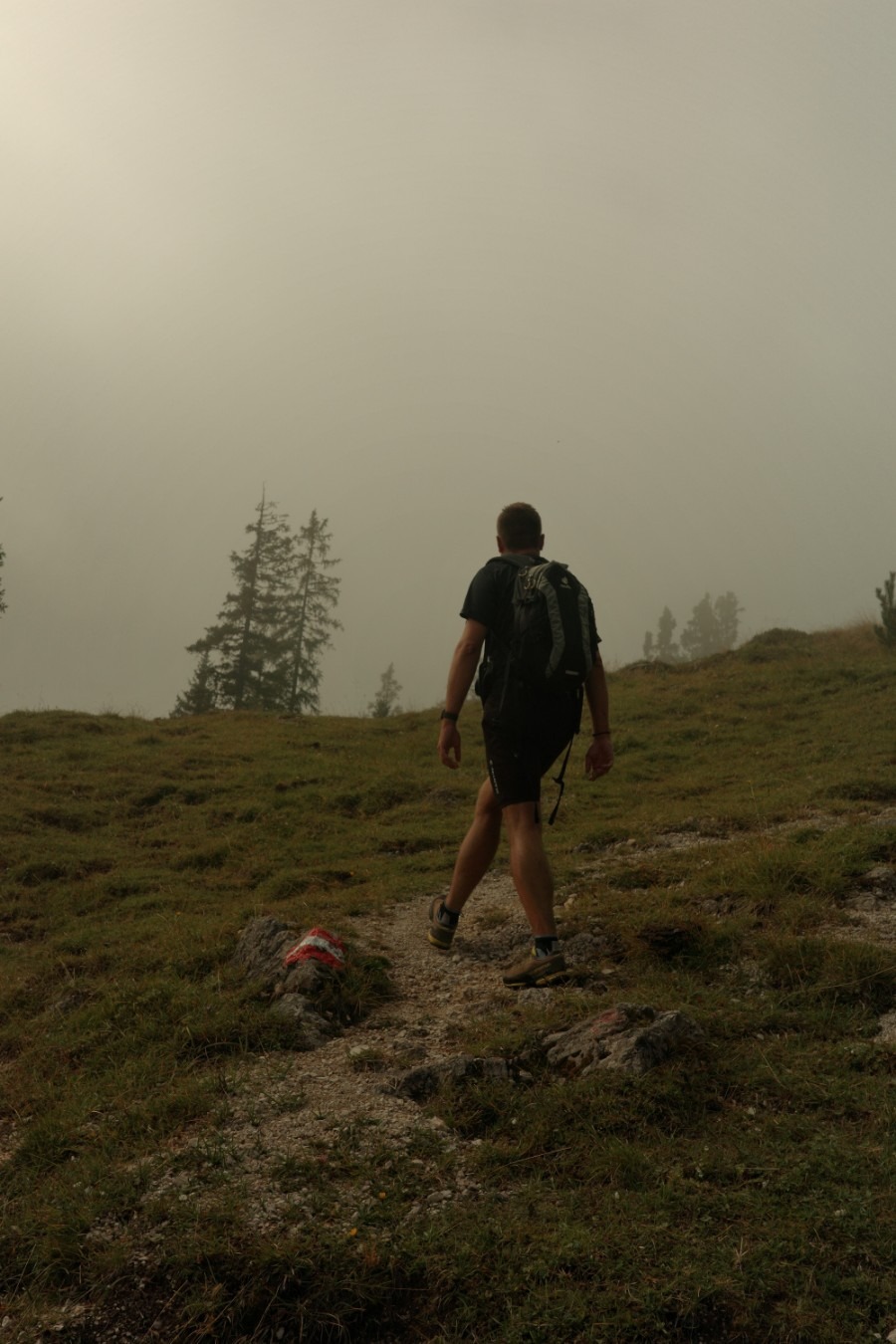 Ricardo von Saumpfad beim Wandern im Nebel