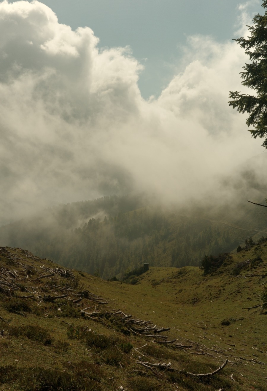 R0003540 Nebelschwaden über einem bewaldeten Bergtal auf dem Weg zum Zireiner See