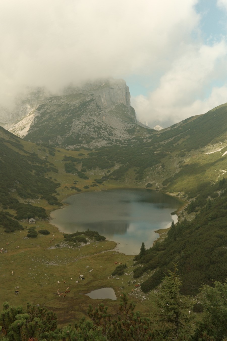 Ausblick auf den Zireinersee mit Nebel am Bert