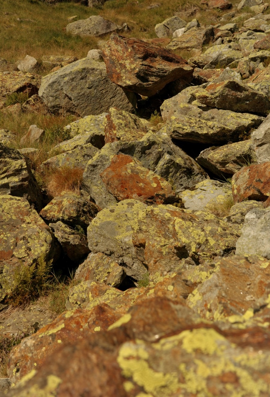 Felsenlandschaft Balue Lacke Gefärbtes Moos auf Felsen rund um die Blaue Lacke
