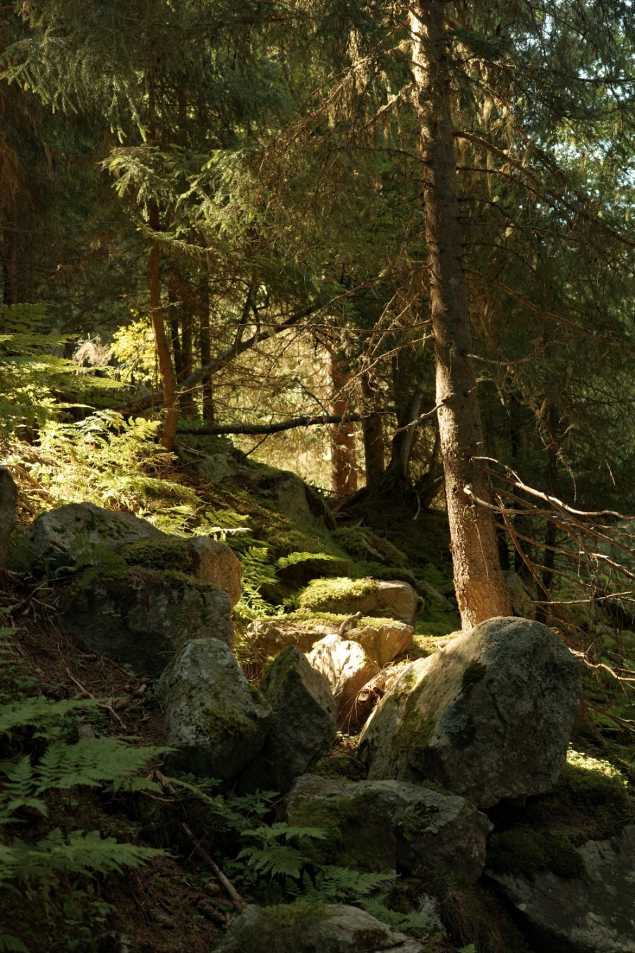 R0003951
