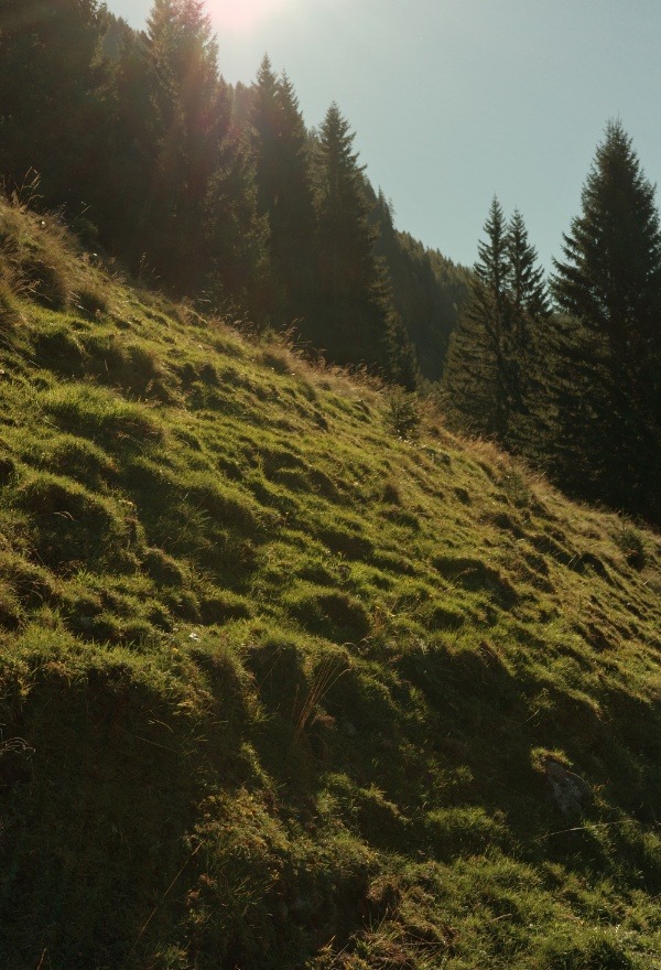 Herbstliche Lichtsimmung auf Wanderpfad