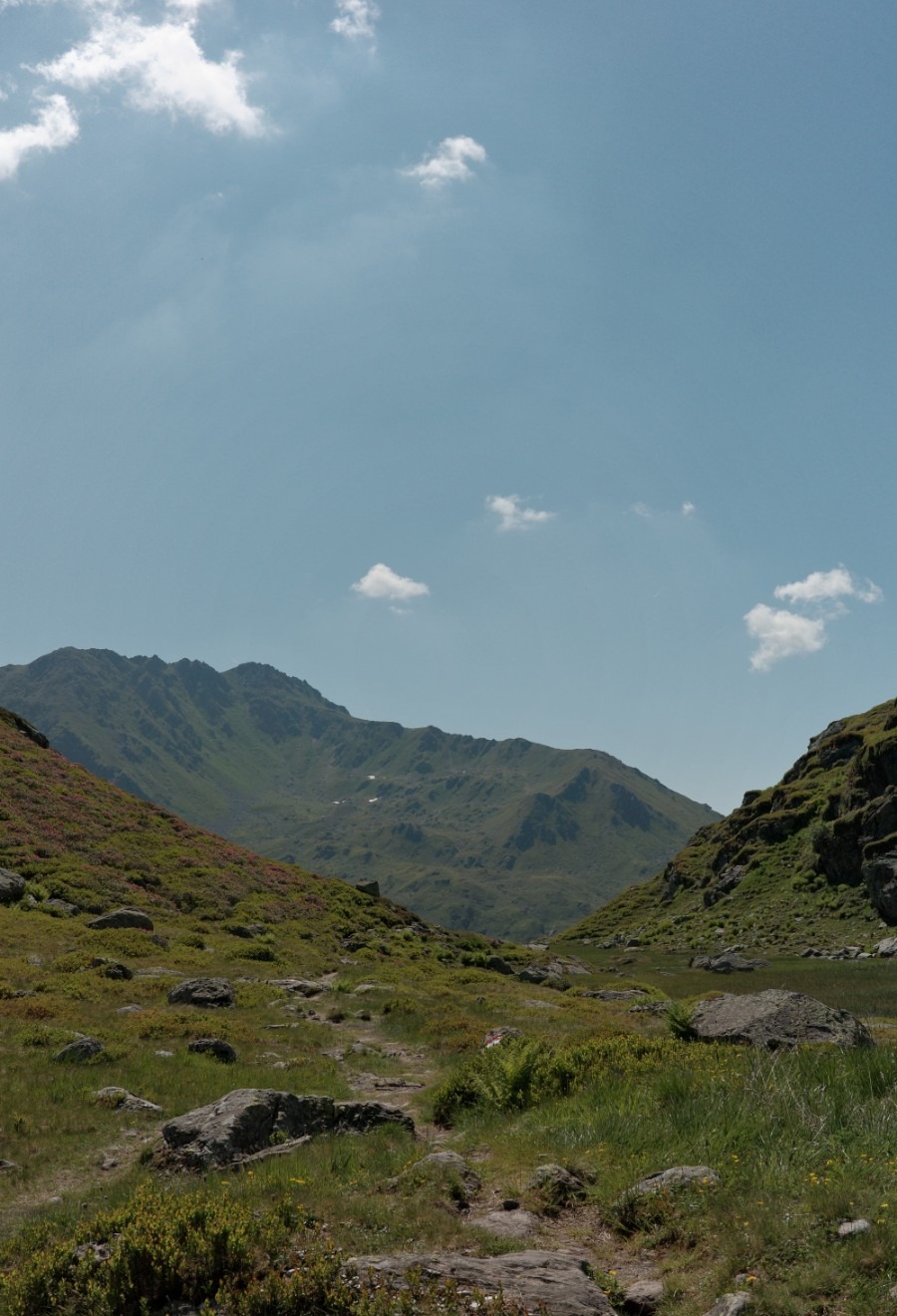 Schmaler Bergweg durch die alpine Landschaft oberhalb des Unteren Wildalmsees