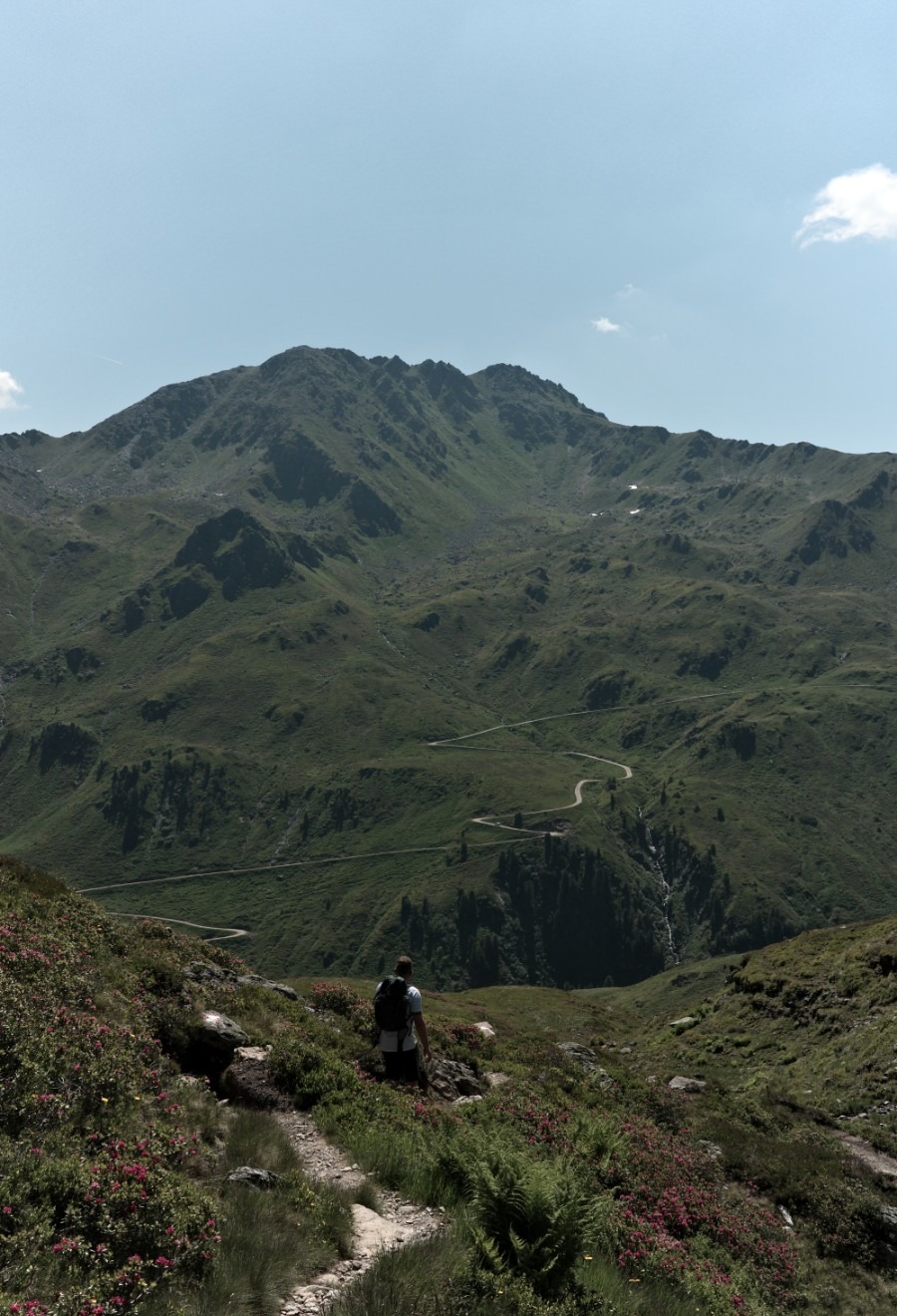 Wanderer beim Abstieg durch Alpenrosen mit Blick auf den Schafsiedel
