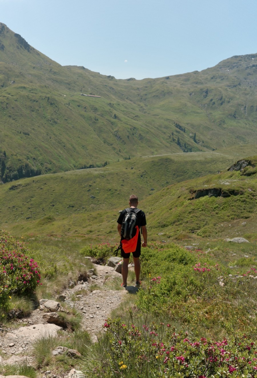 Wanderer auf dem Bergweg zwischen blühenden Alpenrosen bei den Wildalmseen