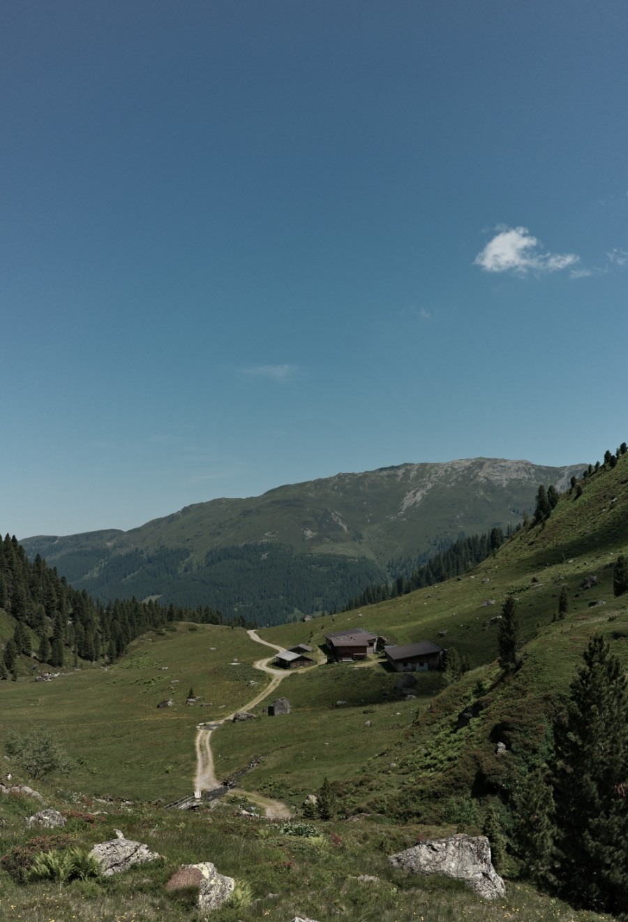Blick auf die Rosswildalm und den Wanderweg im Kurzen Grund