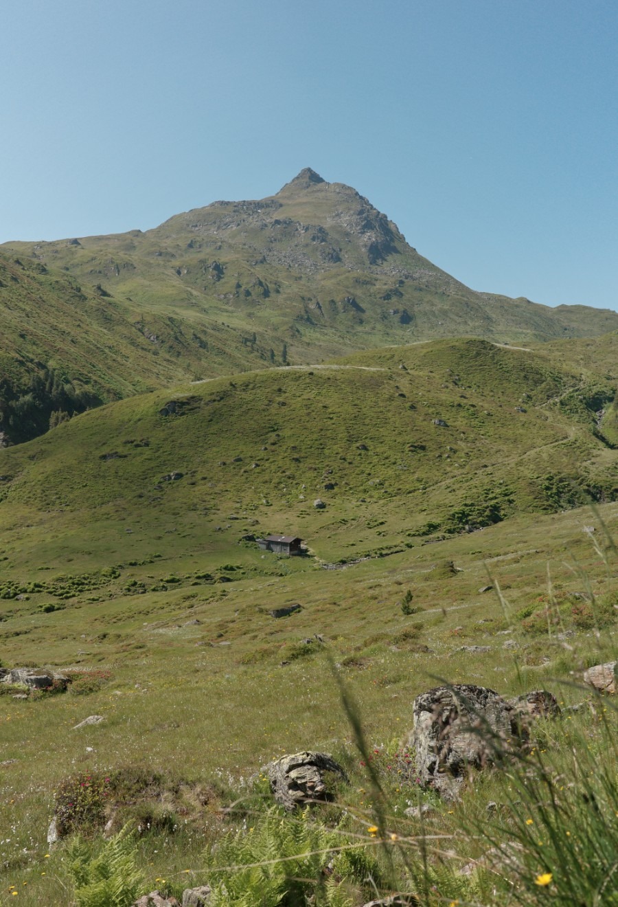 Almwiesen mit kleiner Hütte unter dem Schafsiedel bei den Wildalmseen