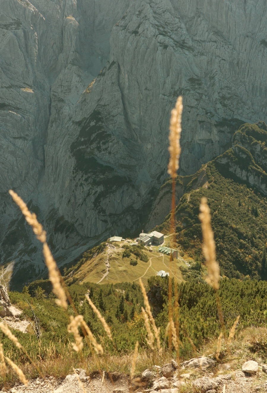 Stripsenkopf