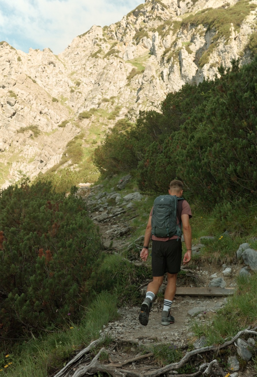 R0007644 Aufstieg durch Latschen und felsiges Gelände in Richtung Ellmauer Tor