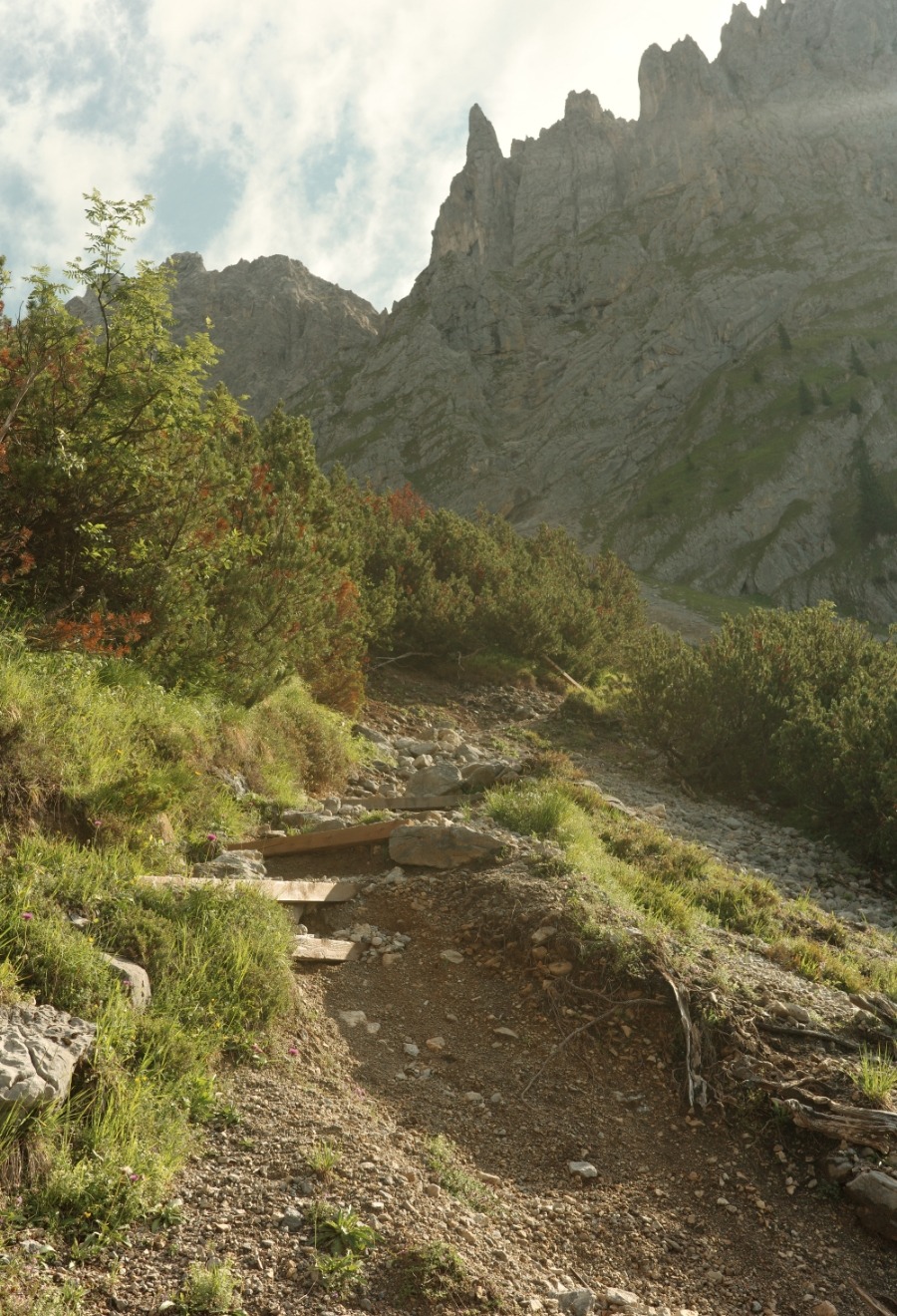 R0007654 Bergweg mit Holzstufen durch Latschen unter den Felswänden des Wilden Kaisers
