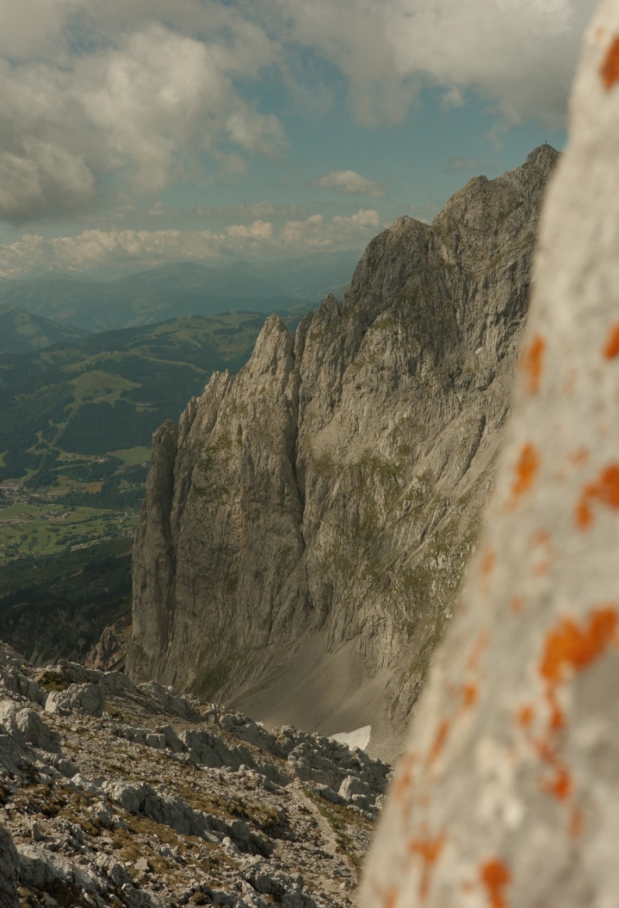 Orange Flechten auf Kalkfels mit Blick auf die Gipfel rund um das Ellmauer Tor