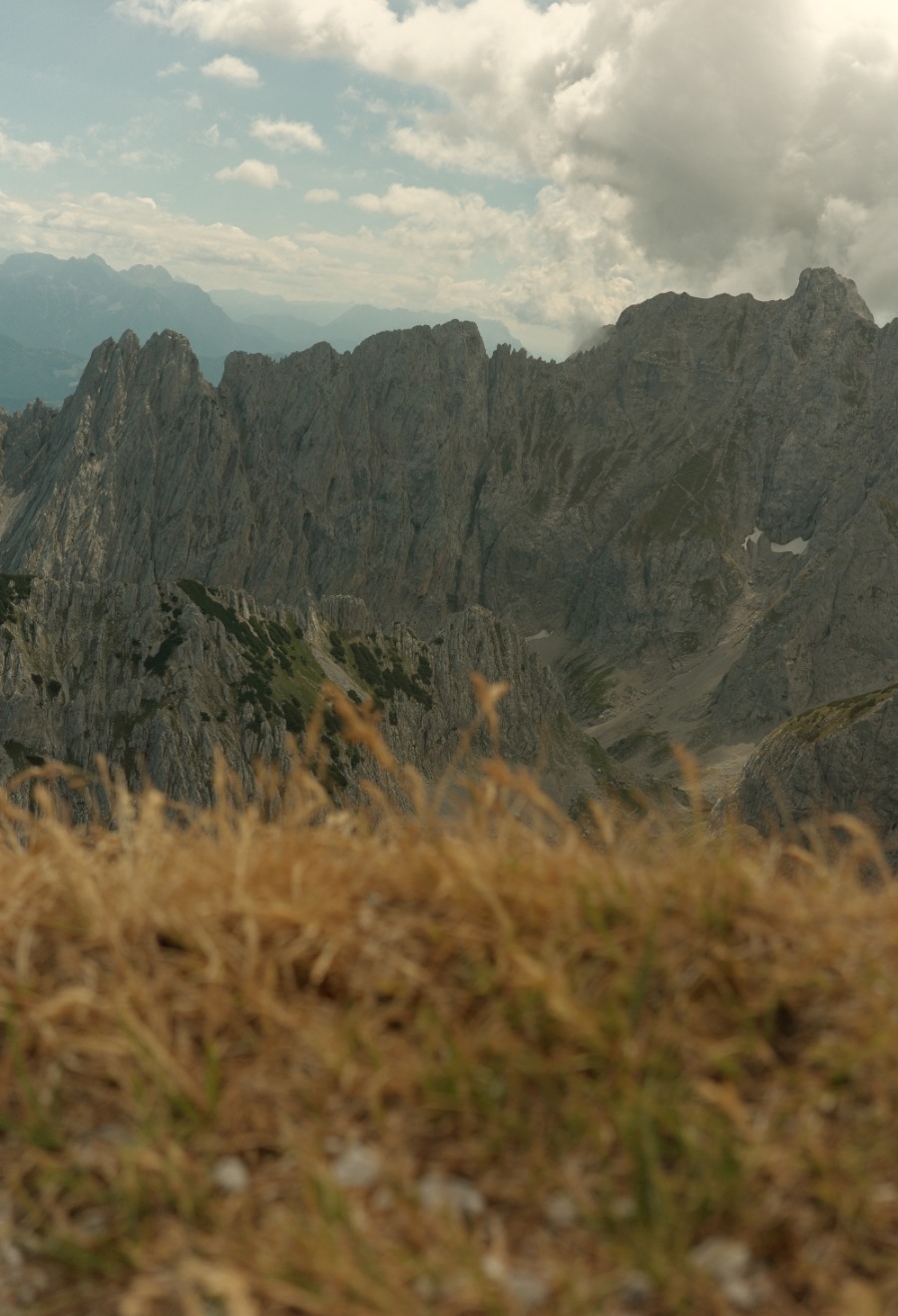 R0007788 Blick über trockenes Berggras auf die schroffen Gipfel des Wilden Kaisers