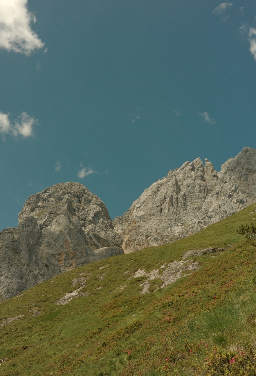 Felszacken und Almwiese auf der Rundtour zur Hinteren Goinger Halt im Wilden Kaiser